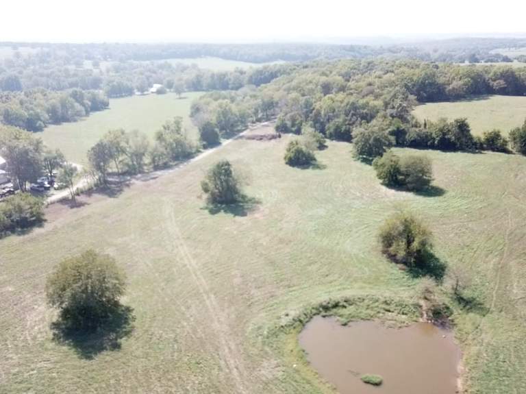 Welcome to Oasis Orchard and Farm: Cultivating a Sustainable Future!